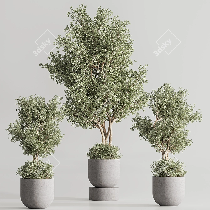 Modern Vray Indoor Plant Set 3D model image 3