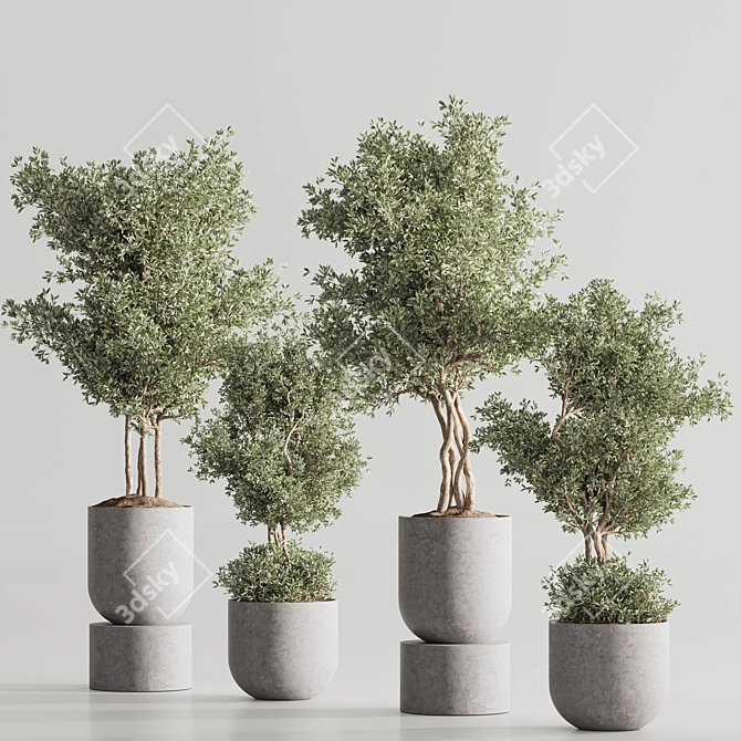 Modern Vray Indoor Plant Set 3D model image 4