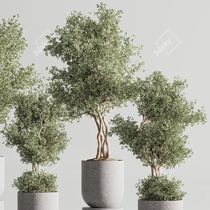 Modern Vray Indoor Plant Set 3D model image 5