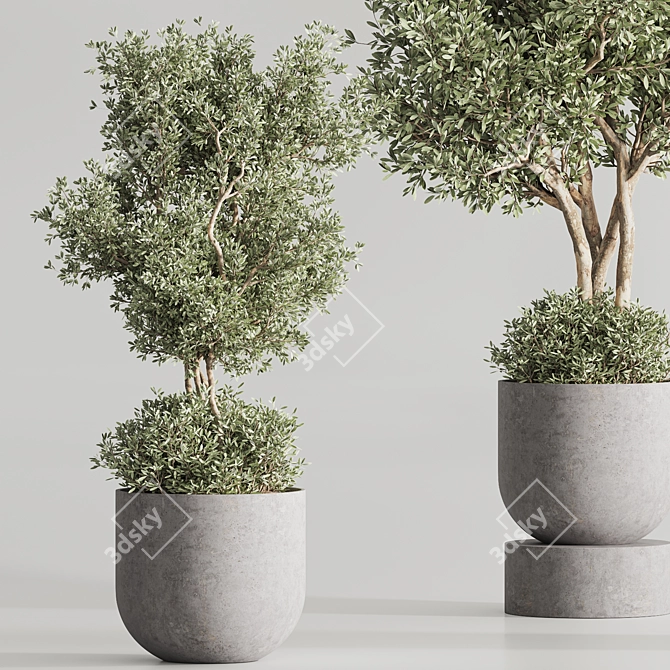 Modern Vray Indoor Plant Set 3D model image 6