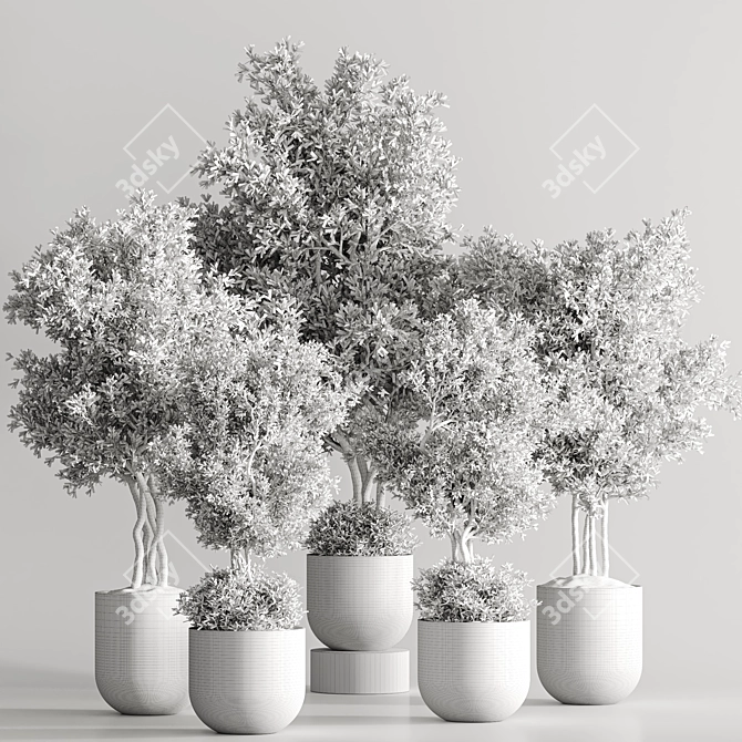 Modern Vray Indoor Plant Set 3D model image 7