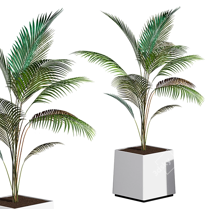 Artificial 75cm Areca Palm Plant 3D model image 1