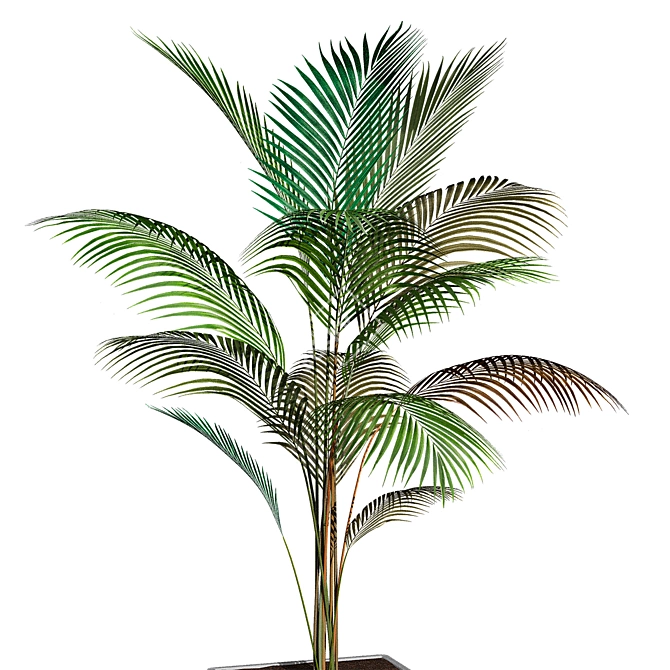 Artificial 75cm Areca Palm Plant 3D model image 2