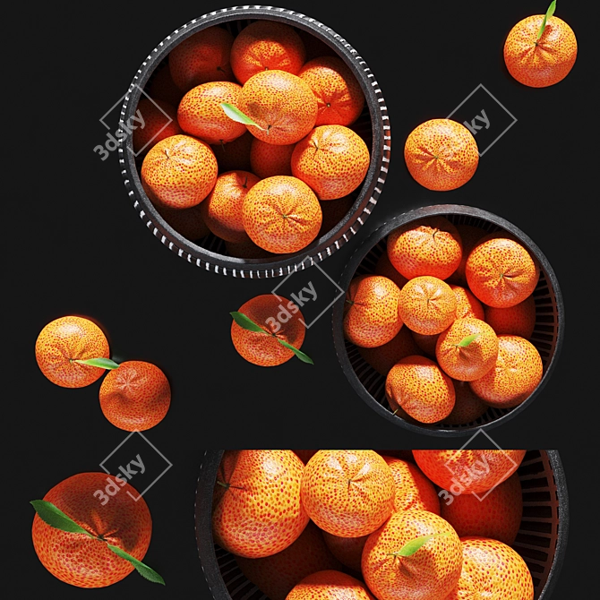 Citrus Minimal Bowl Art 3D model image 2