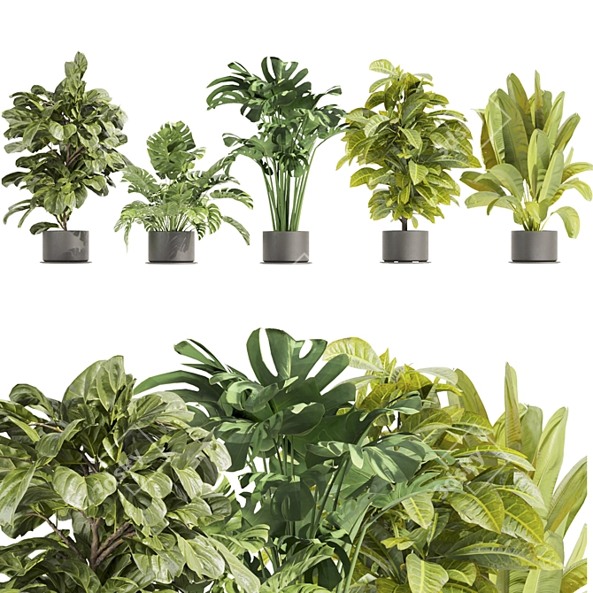 High-Quality Collection Plant Models 3D model image 1