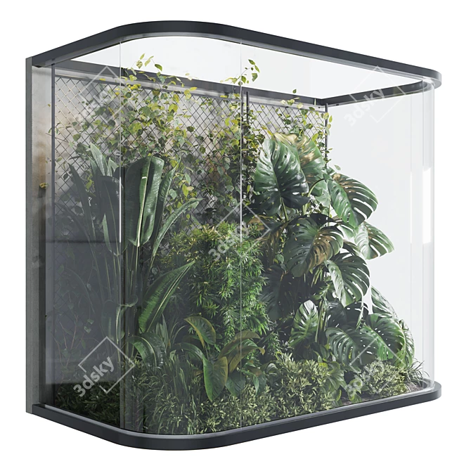 Green Haven Glass Indoor Garden 3D model image 2