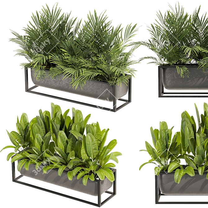 Premium Indoor Palm Banana Plant 3D model image 1