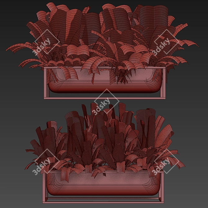 Premium Indoor Palm Banana Plant 3D model image 6