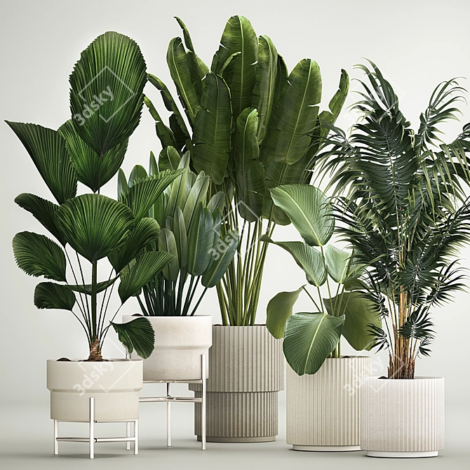 Tropical Plant Collection in Concrete Pots 3D model image 1