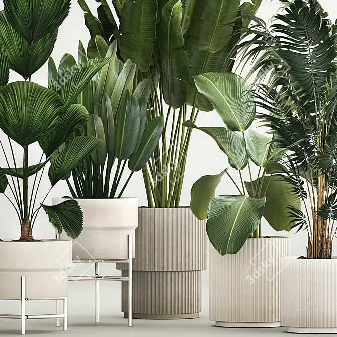 Tropical Plant Collection in Concrete Pots 3D model image 2