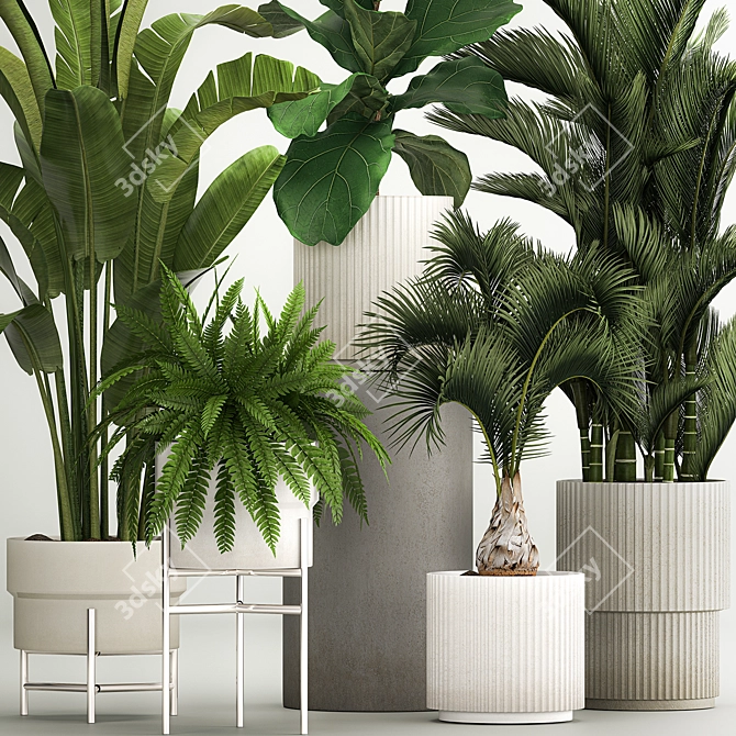 Tropical Plant Set in Concrete Pots 3D model image 2