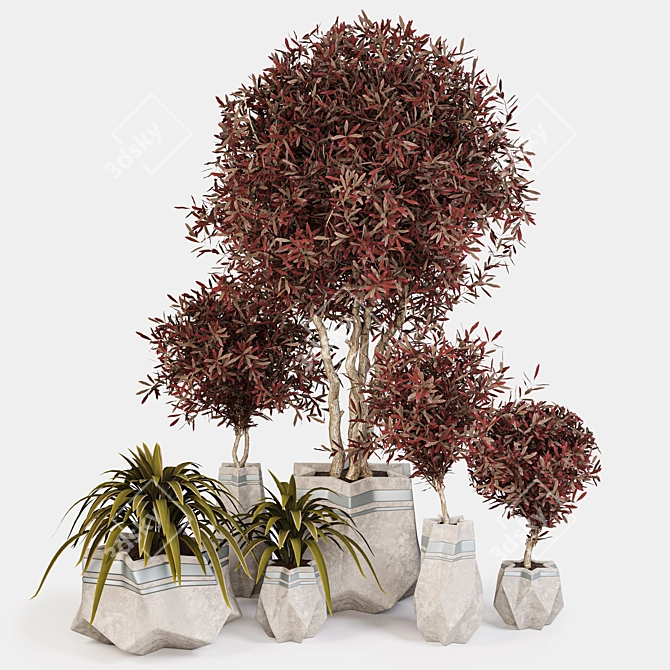 Green Oasis Indoor Plant Set 3D model image 1