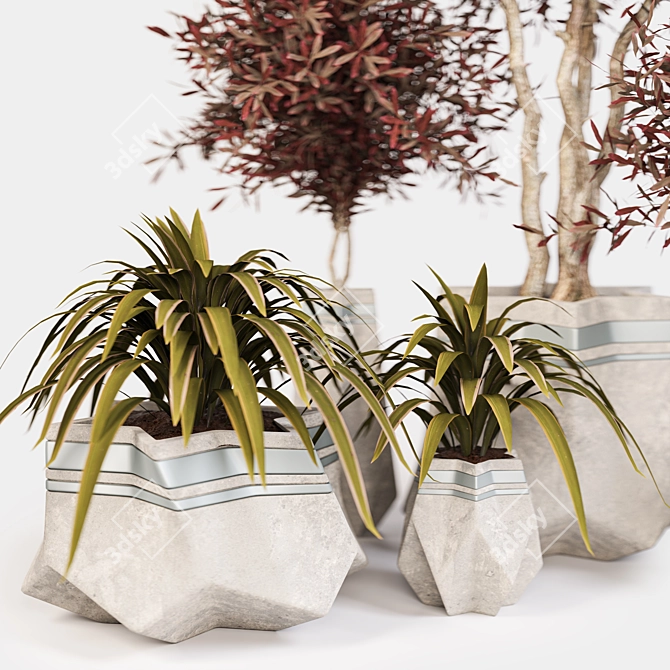 Green Oasis Indoor Plant Set 3D model image 2