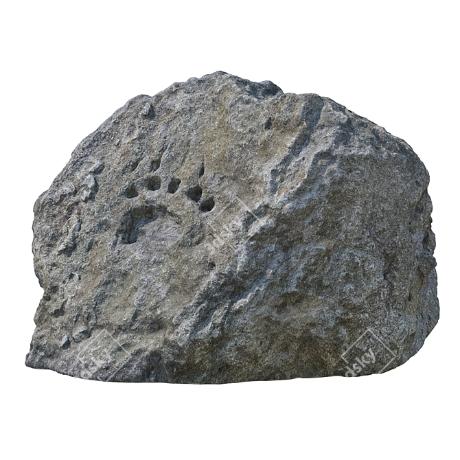 Bear Paw Stone 3D Model 3D model image 1