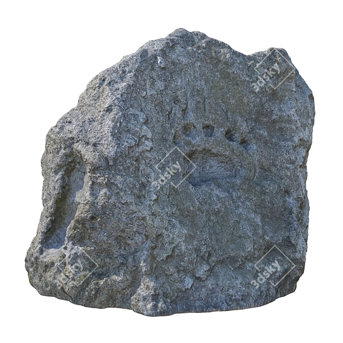 Bear Paw Stone 3D Model 3D model image 2