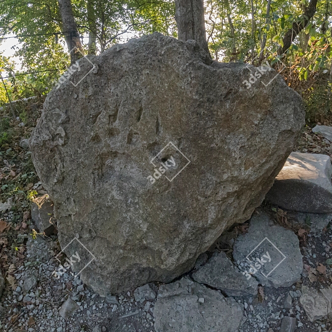 Bear Paw Stone 3D Model 3D model image 7