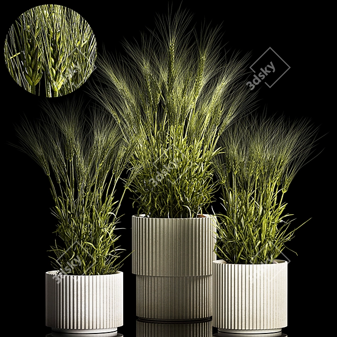 Spikelet Wheat Decor Collection 3D model image 1