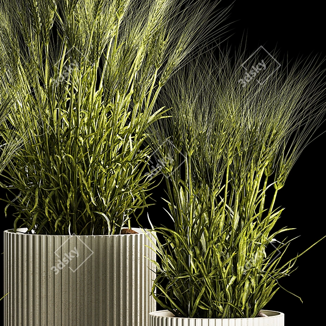 Spikelet Wheat Decor Collection 3D model image 4