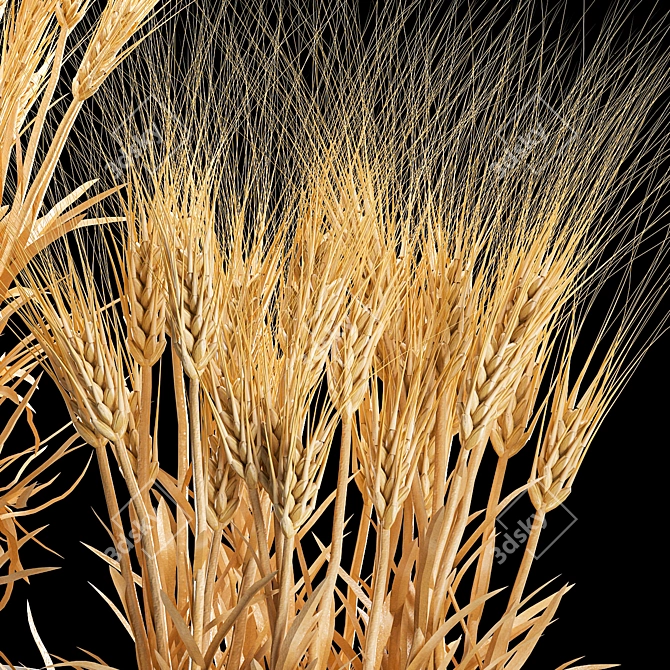 Spikelet Wheat Vase Set 3D model image 6