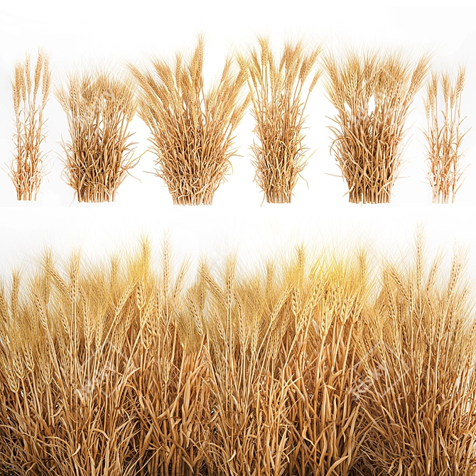 Decorative Wheat Bundle for Eco Design 3D model image 1