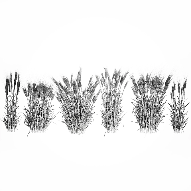 Decorative Wheat Bundle for Eco Design 3D model image 6