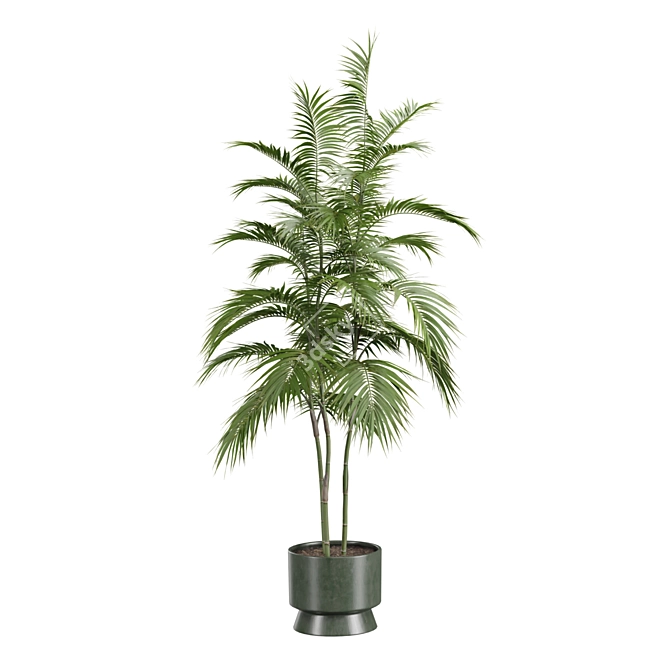 Exotic Indoor Plants Selection Pack 3D model image 5