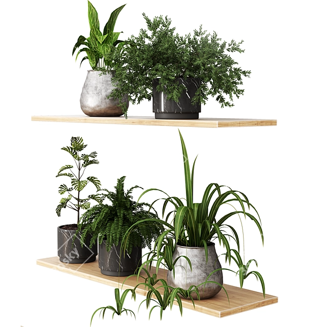 Modern Plant Collection 3D Model 3D model image 2