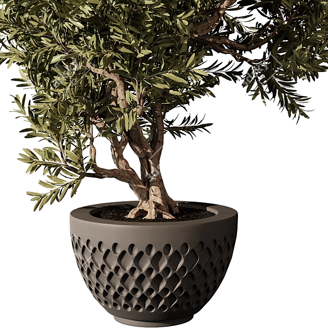 Elegant Indoor Plant Model 2015 3D model image 2