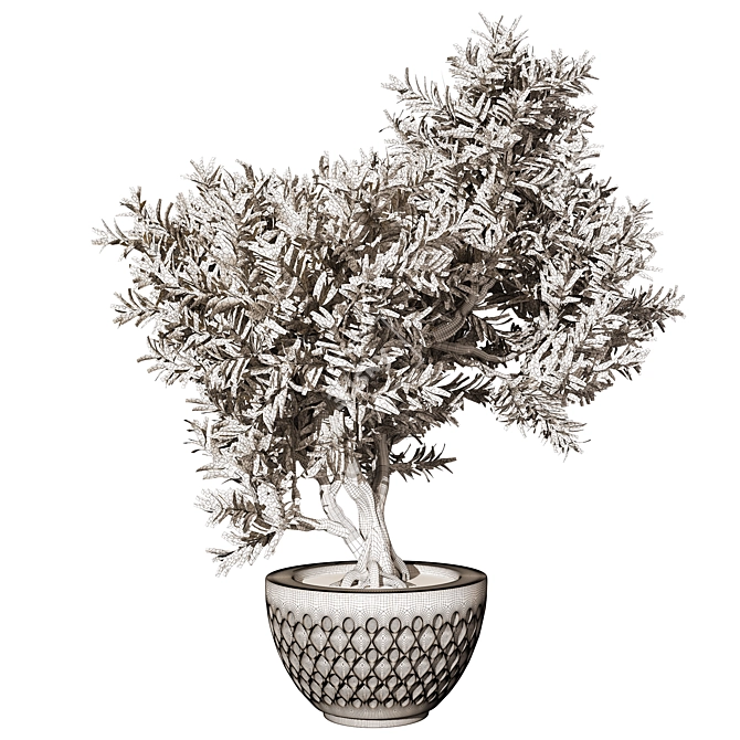 Elegant Indoor Plant Model 2015 3D model image 3