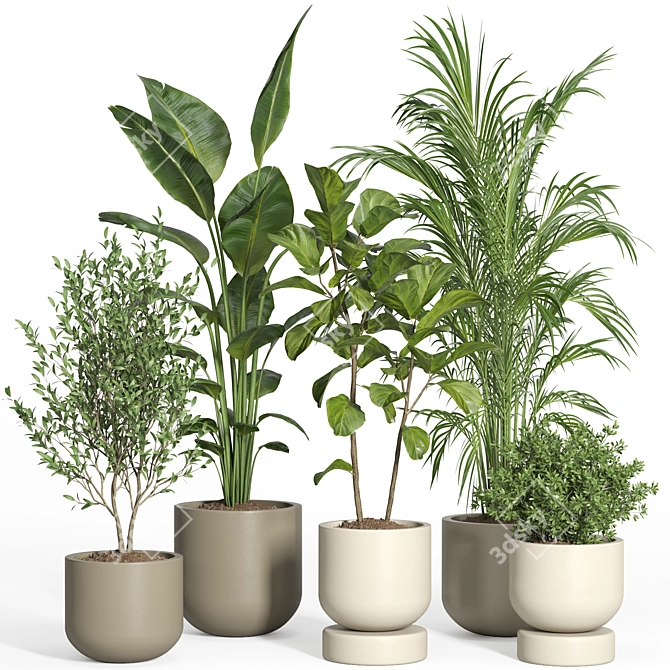  Modern Indoor Plant Set 3D model image 1