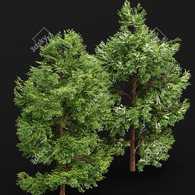 Diverse 3D Tree Models Set 3D model image 3