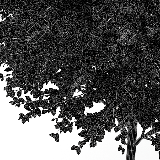 Diverse 3D Tree Models Set 3D model image 6