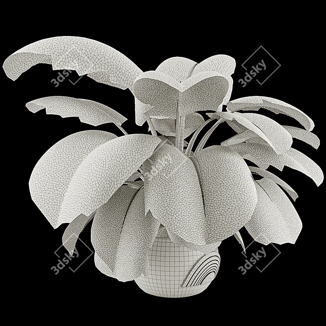 Monstera Plant Collection Set 3D model image 7