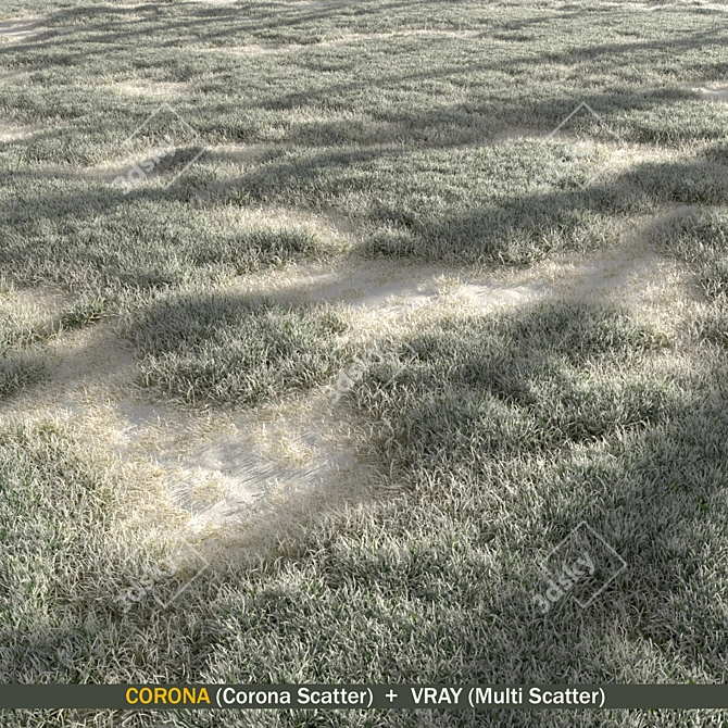 Winter Grass Pack: 3D Scatters 3D model image 1