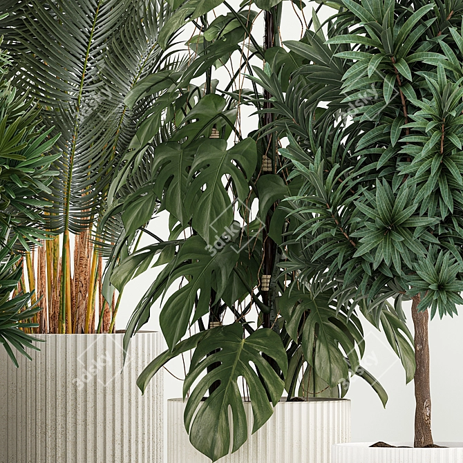 Tropical Plants Collection in Concrete Pots 3D model image 3