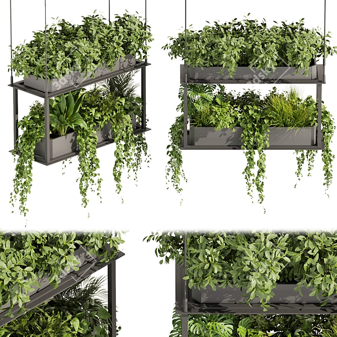 Premium Hanging Plant Collection - HD Quality 3D model image 1