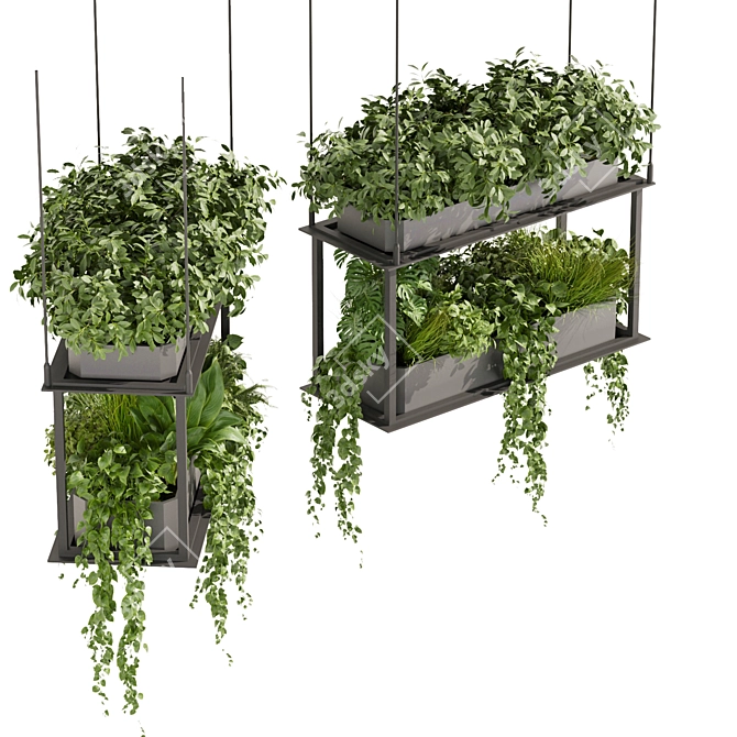 Premium Hanging Plant Collection - HD Quality 3D model image 2