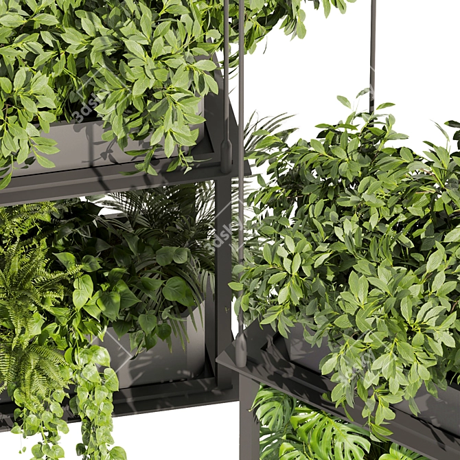 Premium Hanging Plant Collection - HD Quality 3D model image 3