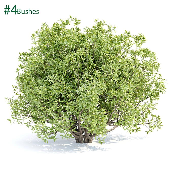 Premium Bush Collection Vol. 191 3D model image 1