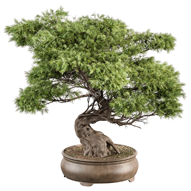 Bonsai Plant 491 - Indoor Beauty 3D model image 1