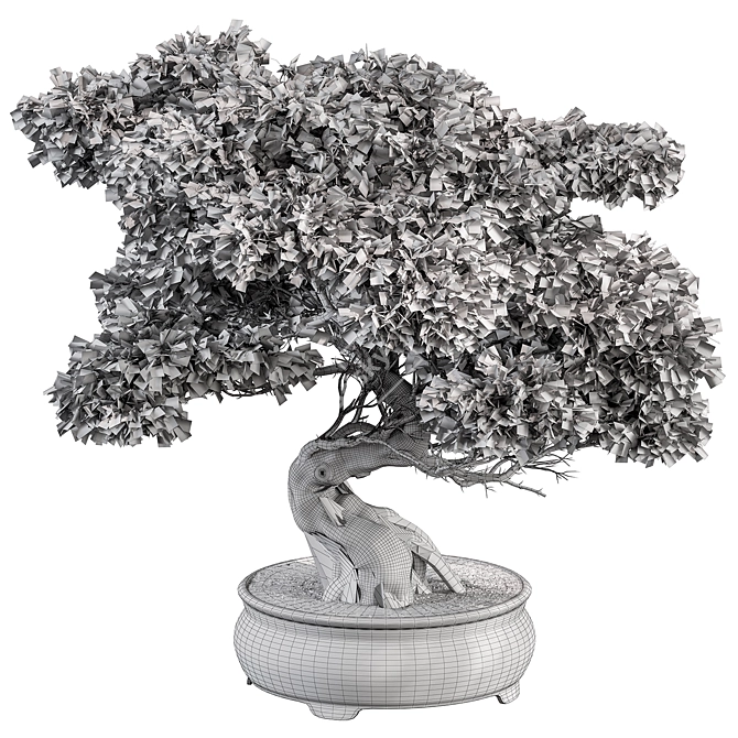 Bonsai Plant 491 - Indoor Beauty 3D model image 4