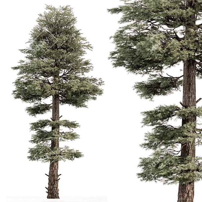 Evergreen Tree Set Bundle 3D model image 1