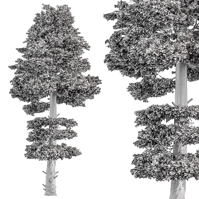 Evergreen Tree Set Bundle 3D model image 3