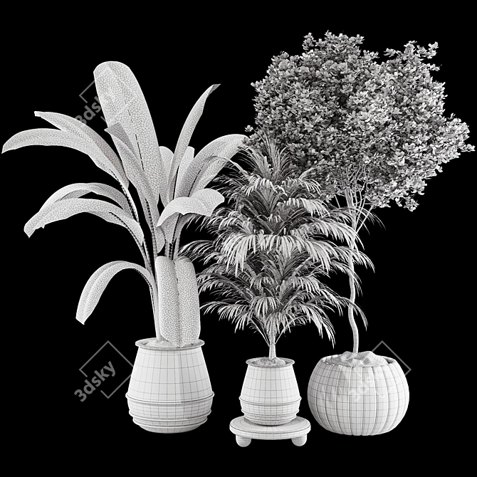 Plant Collection 84: 3D Models 3D model image 7