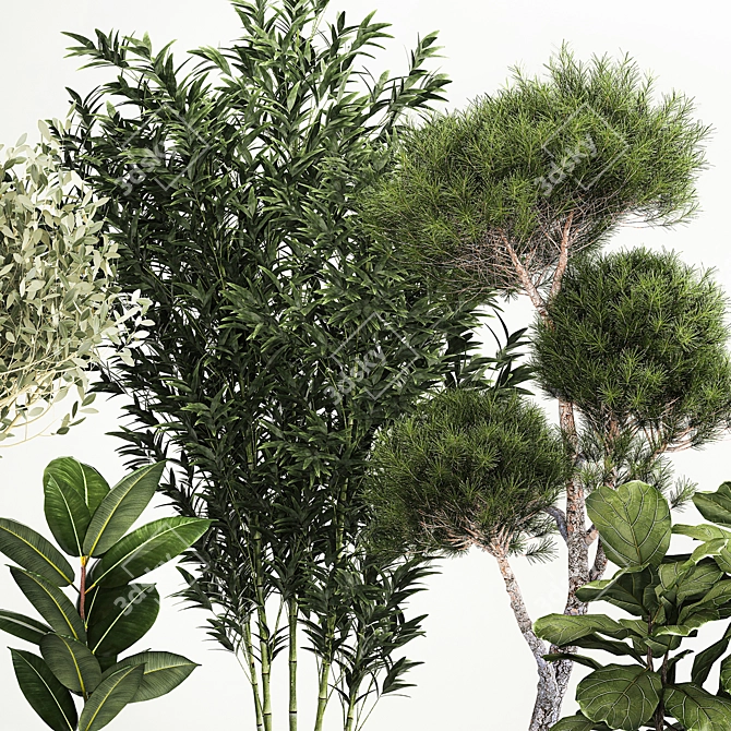 Exotic Plant Collection Set 3D model image 4