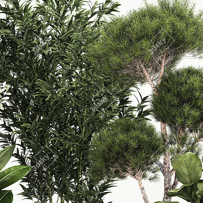 Exotic Plant Collection Set 3D model image 6