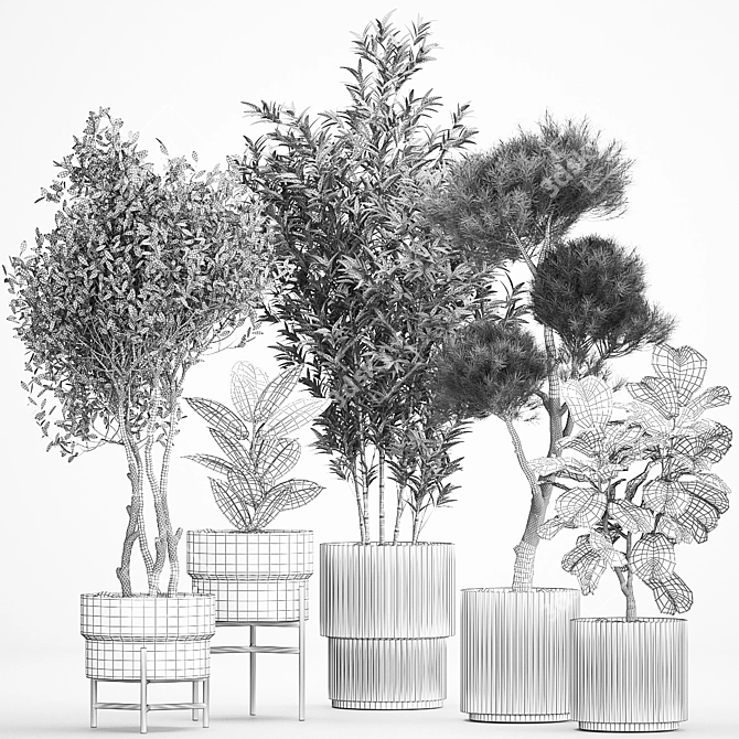 Exotic Plant Collection Set 3D model image 7