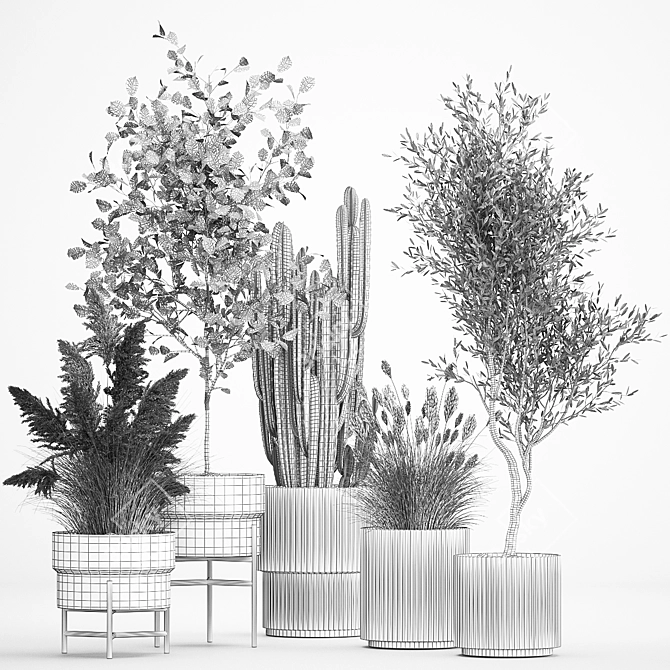 Exotic Plant Collection Set 3D model image 7