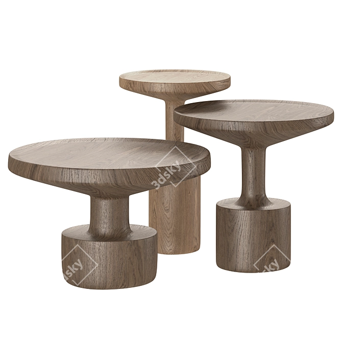 Modern Wooden Coffee Tables Set 3D model image 4