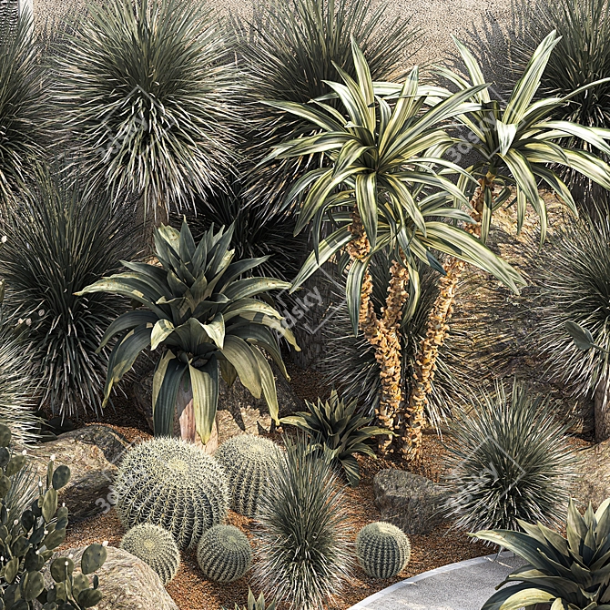 Desert Oasis Plant Collection 3D model image 4